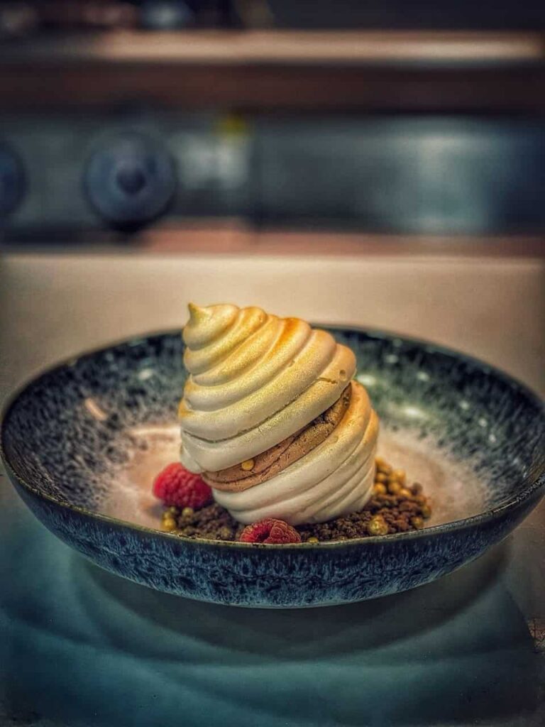 Artfully plated Pavlova dessert featuring chocolate mousse, edible soil, and fresh raspberries in a dark ceramic bowl.